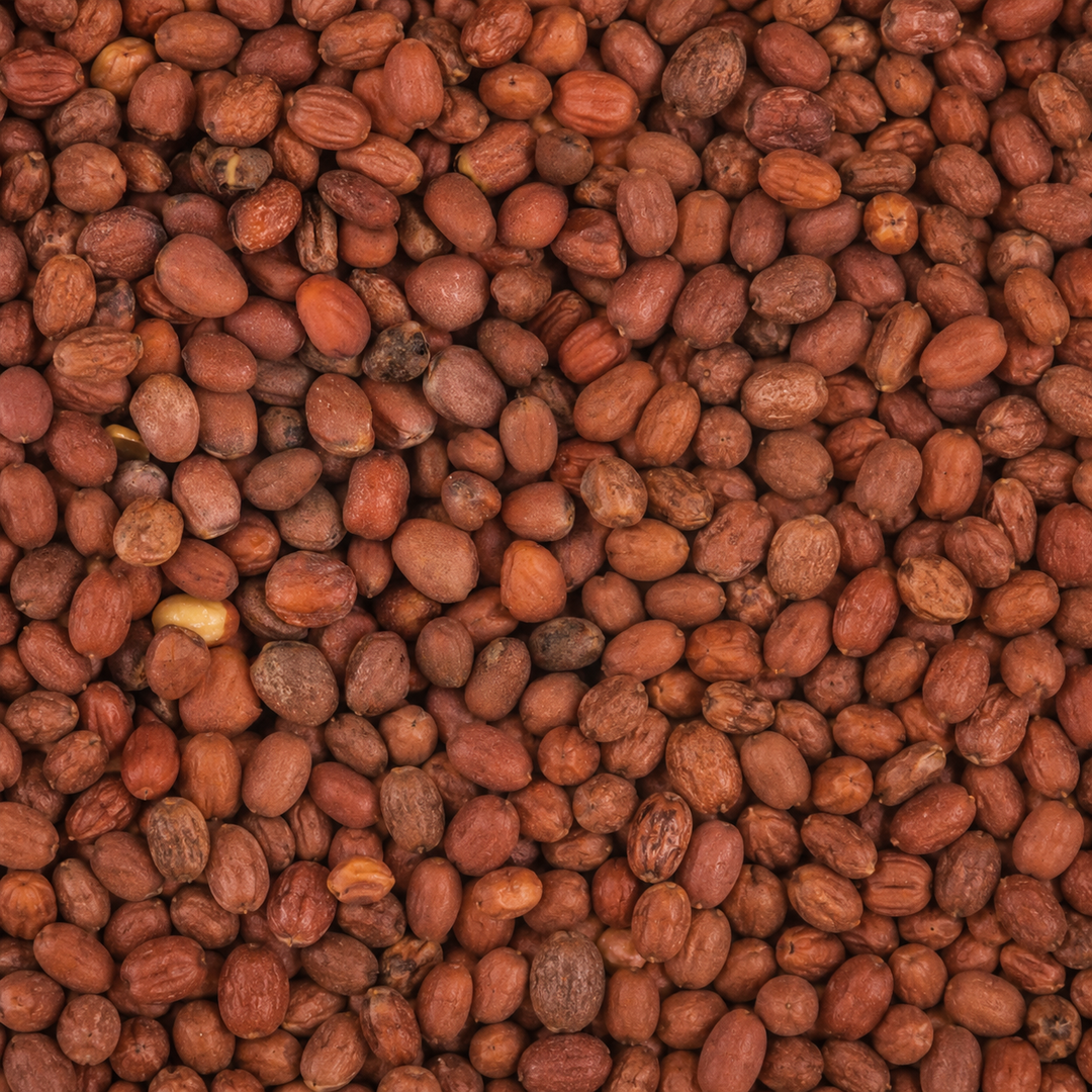 Daikon Seed Extract in skin care