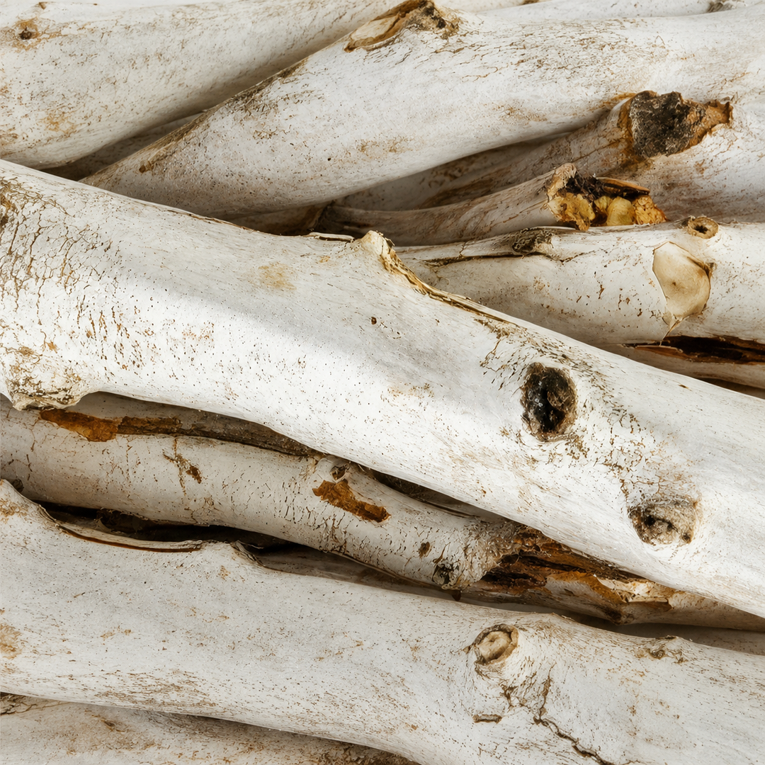 White Willow Bark Extract in skin care